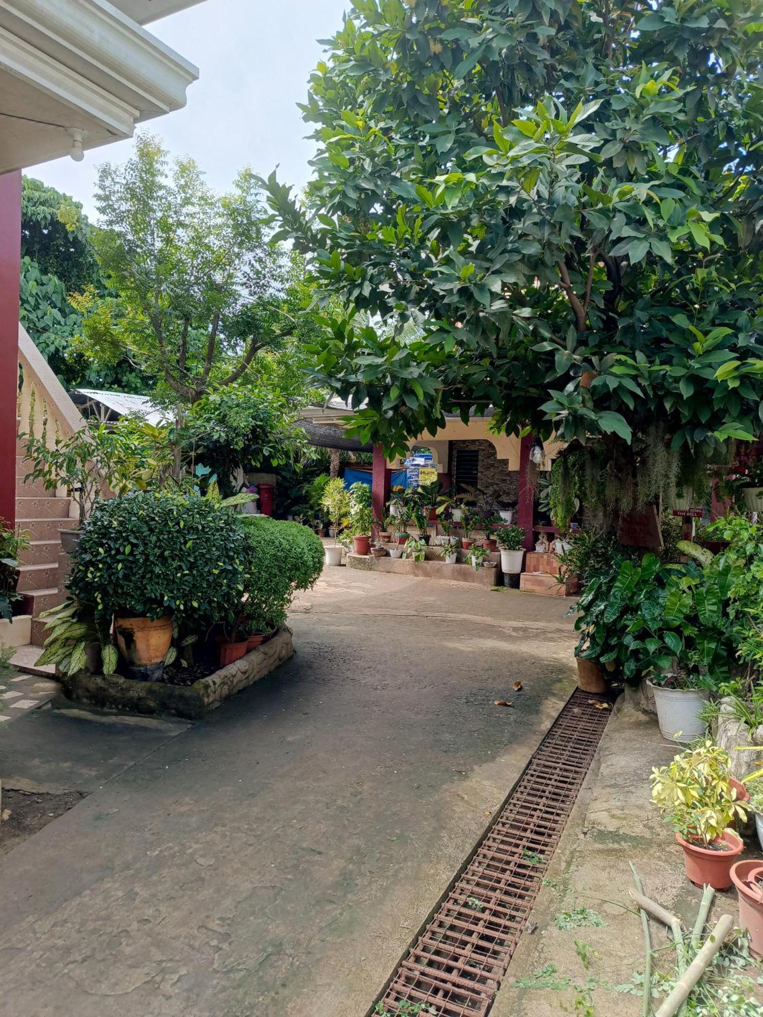 Peace Lily Studio Apartments 팡라오 외부 사진