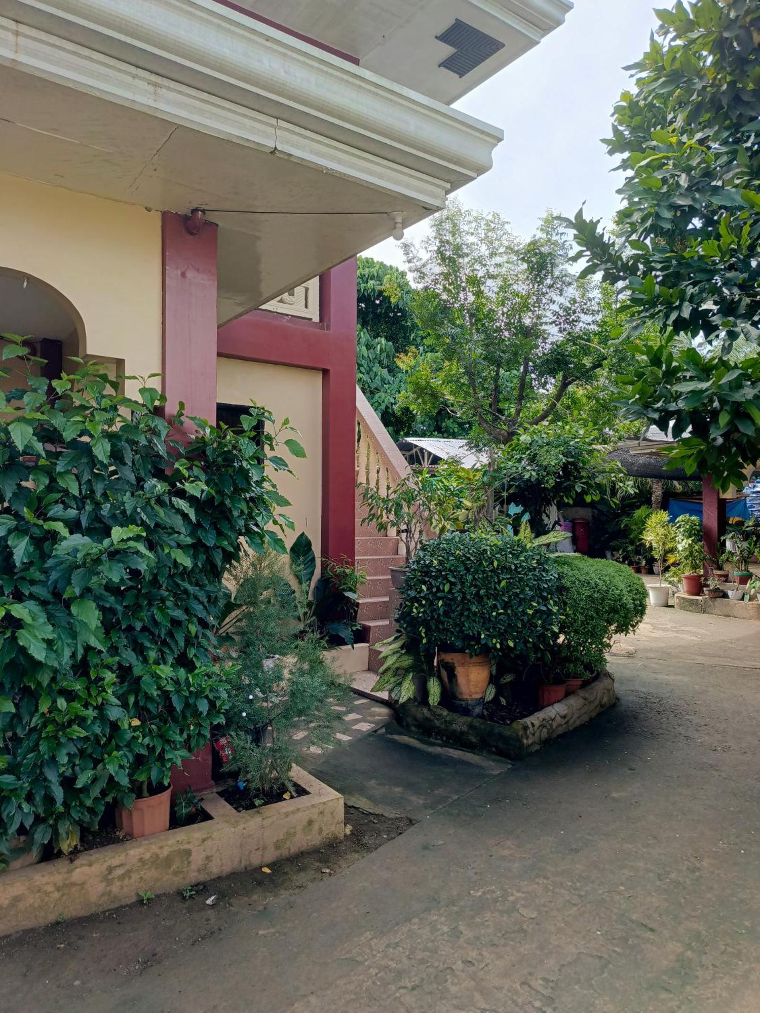 Peace Lily Studio Apartments 팡라오 외부 사진